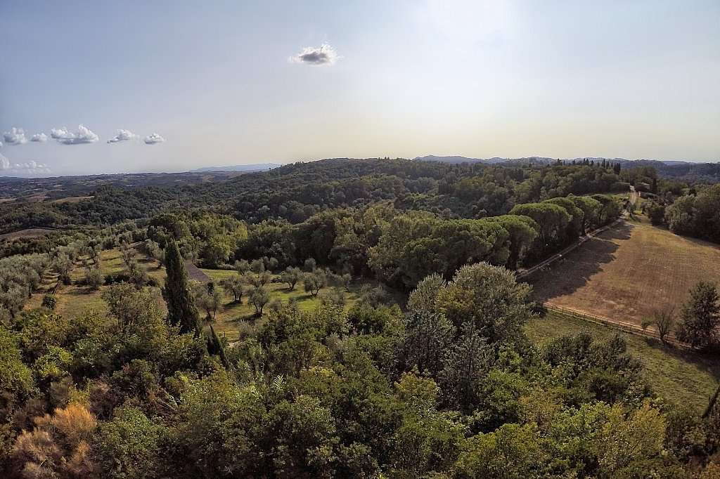 938-Azienda di prestigio-Montaione-3 Agenzia Immobiliare ASIP