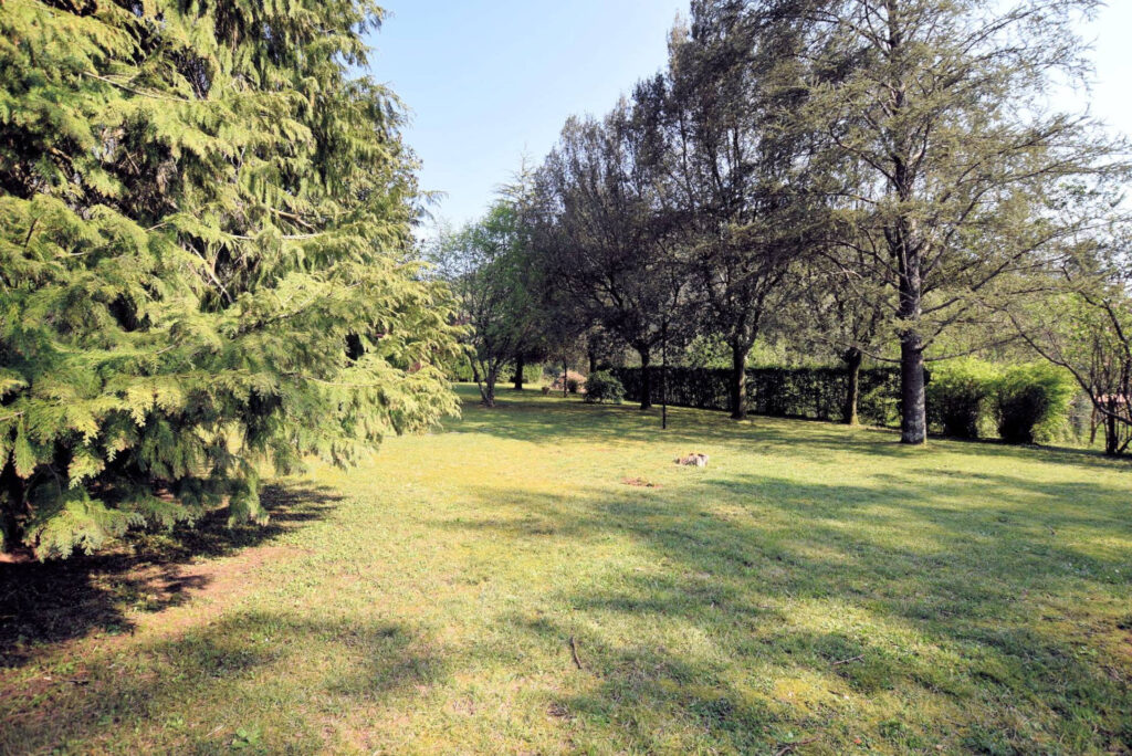 1153-Villa in collina con parco-Camaiore-4 Agenzia Immobiliare ASIP