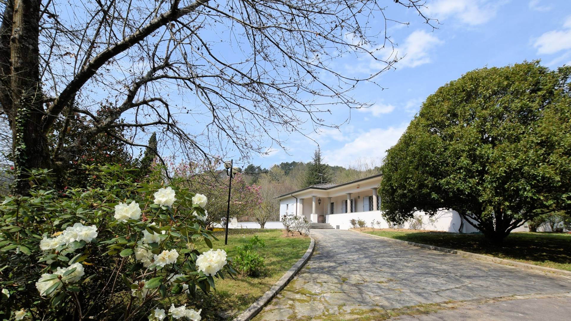 1153-Villa in collina con parco-Camaiore-1 Agenzia Immobiliare ASIP