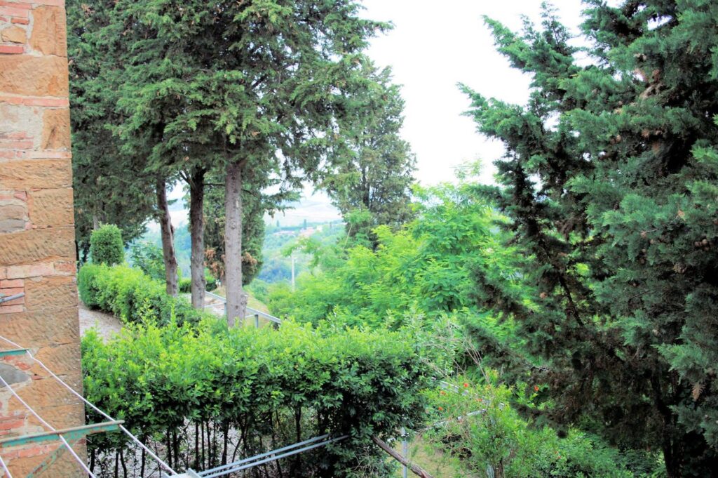 325-Rustico di ampia superficie con terreno e annessi per tenere i cavalli-Montaione-13 Agenzia Immobiliare ASIP