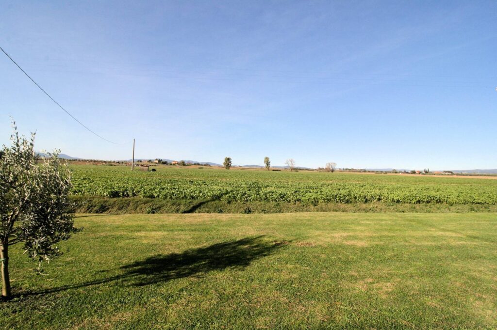 1288-Porzione di podere ex Ente Maremma posta al piano terra con ampio terreno-Roccastrada-6 Agenzia Immobiliare ASIP