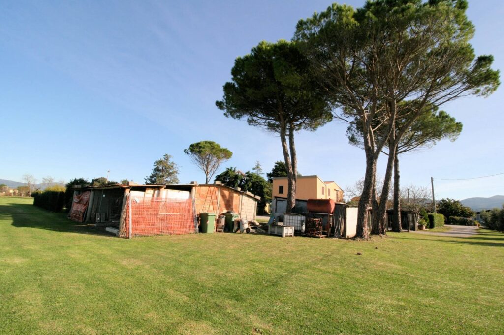 1288-Porzione di podere ex Ente Maremma posta al piano terra con ampio terreno-Roccastrada-2 Agenzia Immobiliare ASIP