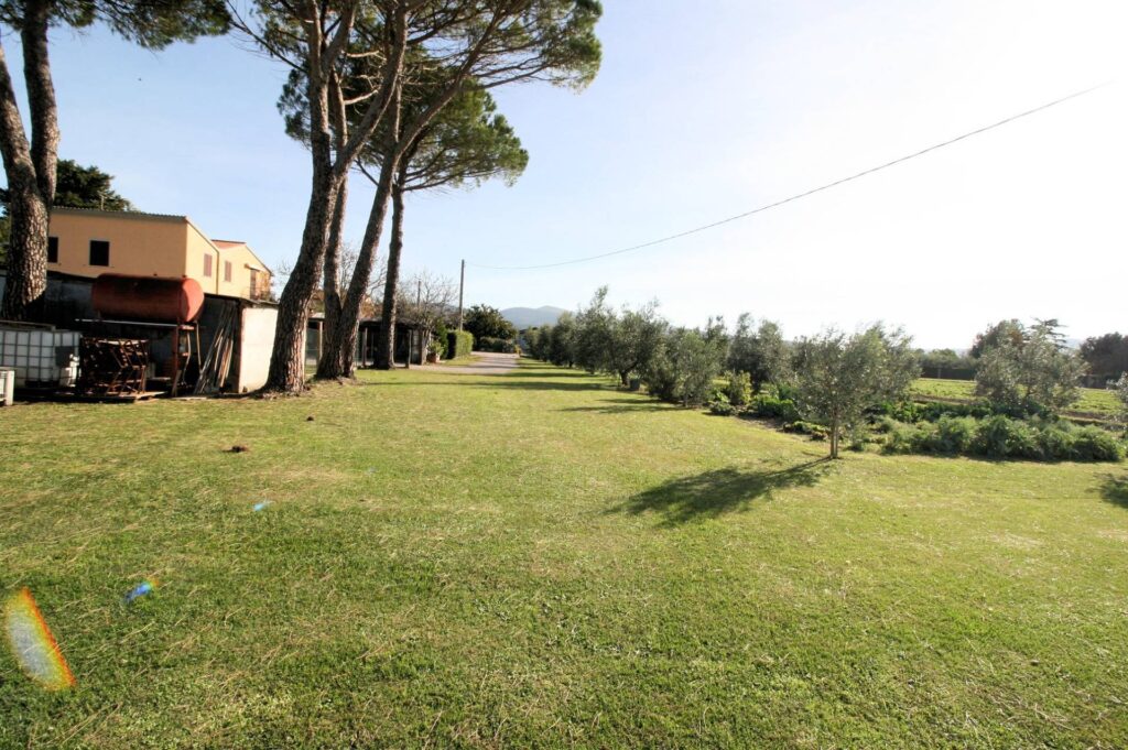 1288-Porzione di podere ex Ente Maremma posta al piano terra con ampio terreno-Roccastrada-8 Agenzia Immobiliare ASIP