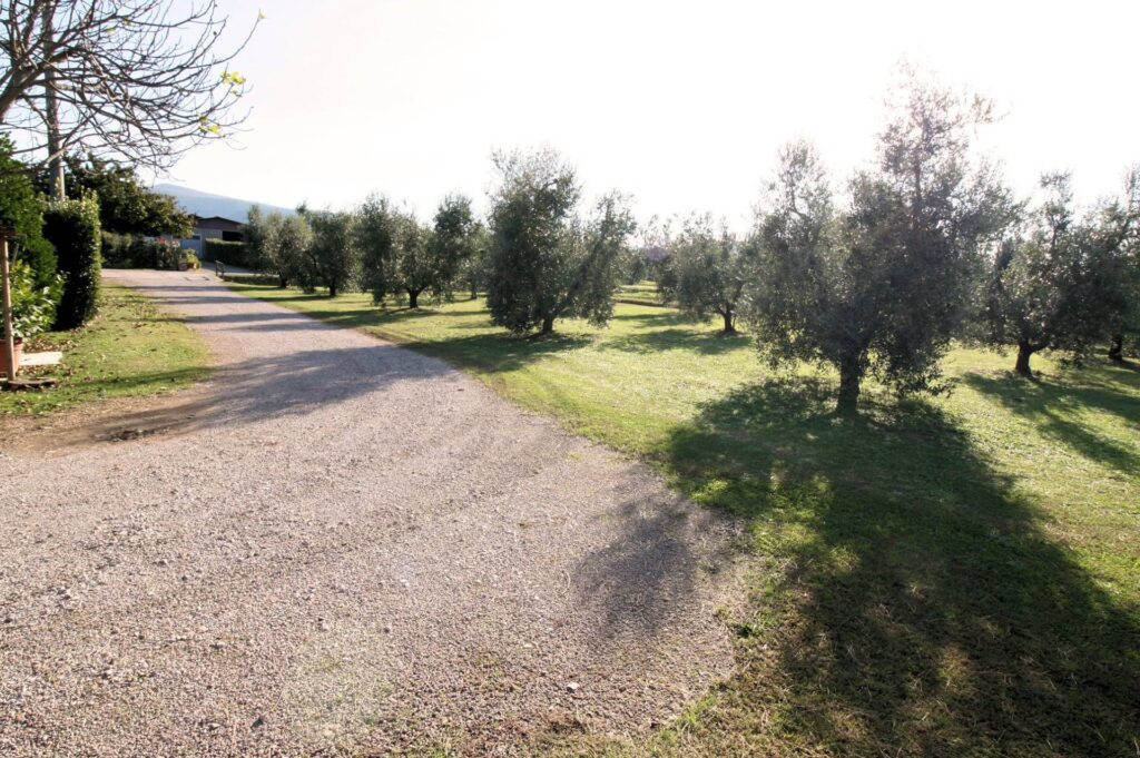 1288-Porzione di podere ex Ente Maremma posta al piano terra con ampio terreno-Roccastrada-12 Agenzia Immobiliare ASIP