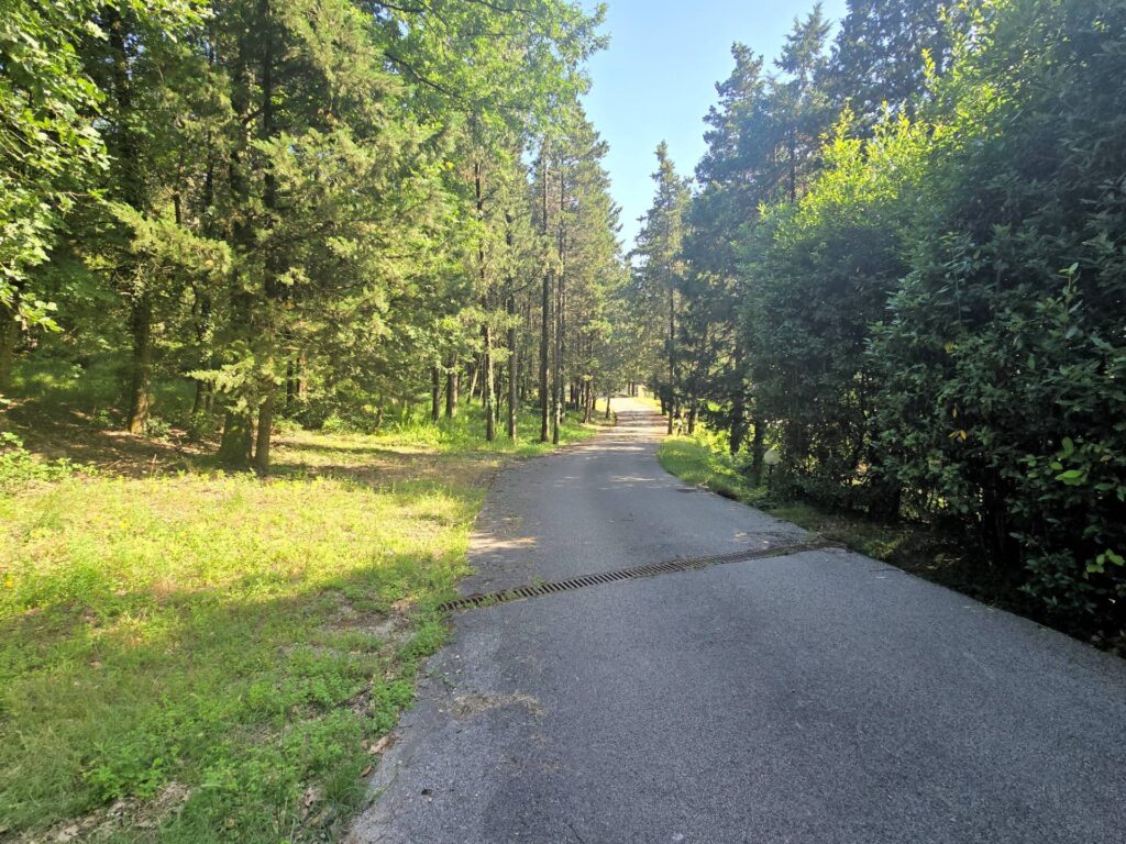 1530-Villa di dimensioni molto importanti con ampio parco in ottima location-Montemurlo-6 Agenzia Immobiliare ASIP