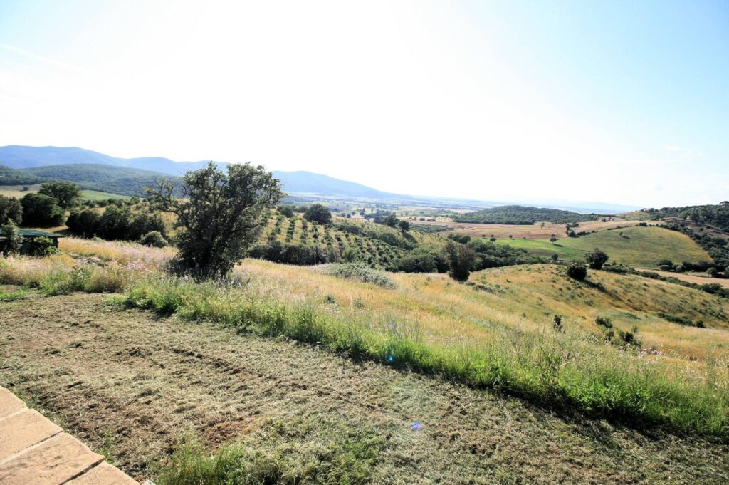 1537-Casale libero su quattro lati con terreno e vista panoramica fino al mare-Magliano in Toscana-7 Agenzia Immobiliare ASIP