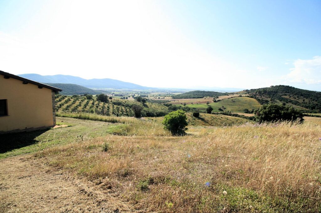 1537-Casale libero su quattro lati con terreno e vista panoramica fino al mare-Magliano in Toscana-11 Agenzia Immobiliare ASIP