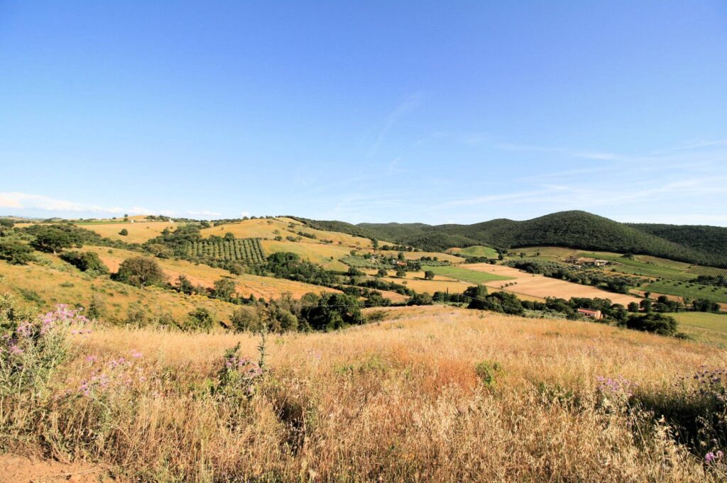 1537-Casale libero su quattro lati con terreno e vista panoramica fino al mare-Magliano in Toscana-3 Agenzia Immobiliare ASIP