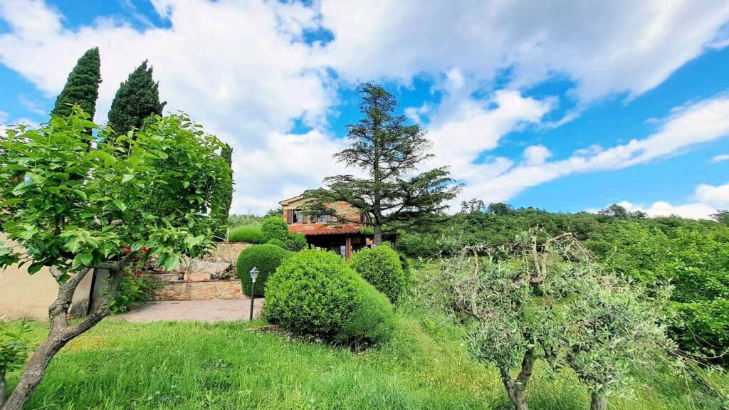 1544-Casale con annessi ampio terreno e vista panoramica-Castiglion Fibocchi-5 Agenzia Immobiliare ASIP