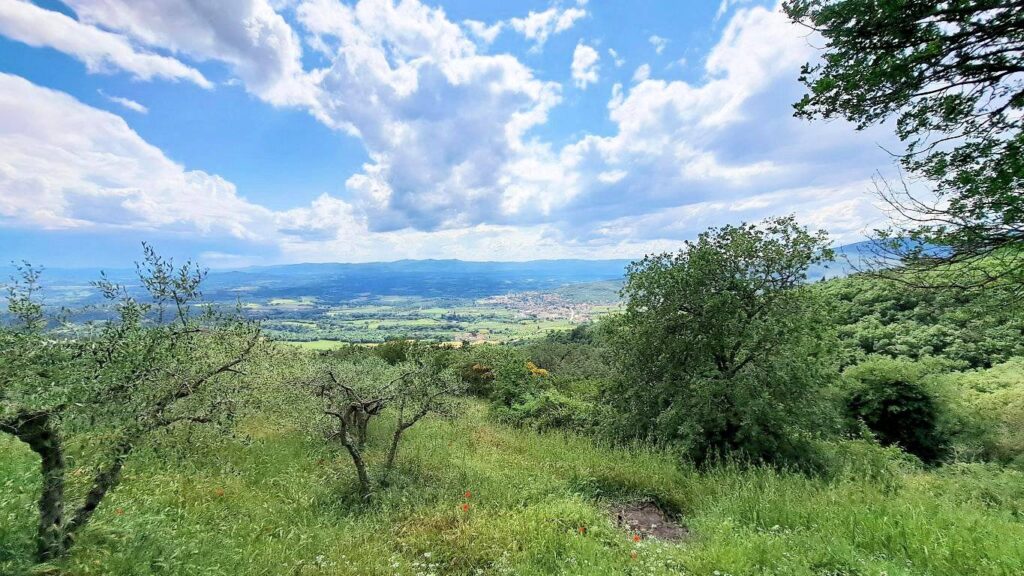 1544-Casale con annessi ampio terreno e vista panoramica-Castiglion Fibocchi-8 Agenzia Immobiliare ASIP