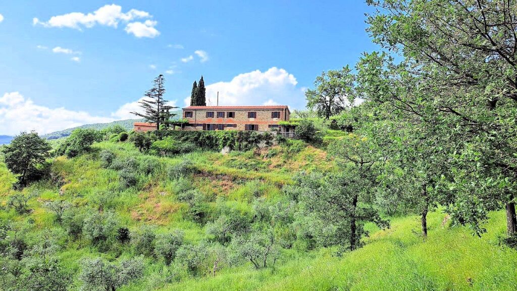 1544-Casale con annessi ampio terreno e vista panoramica-Castiglion Fibocchi-4 Agenzia Immobiliare ASIP