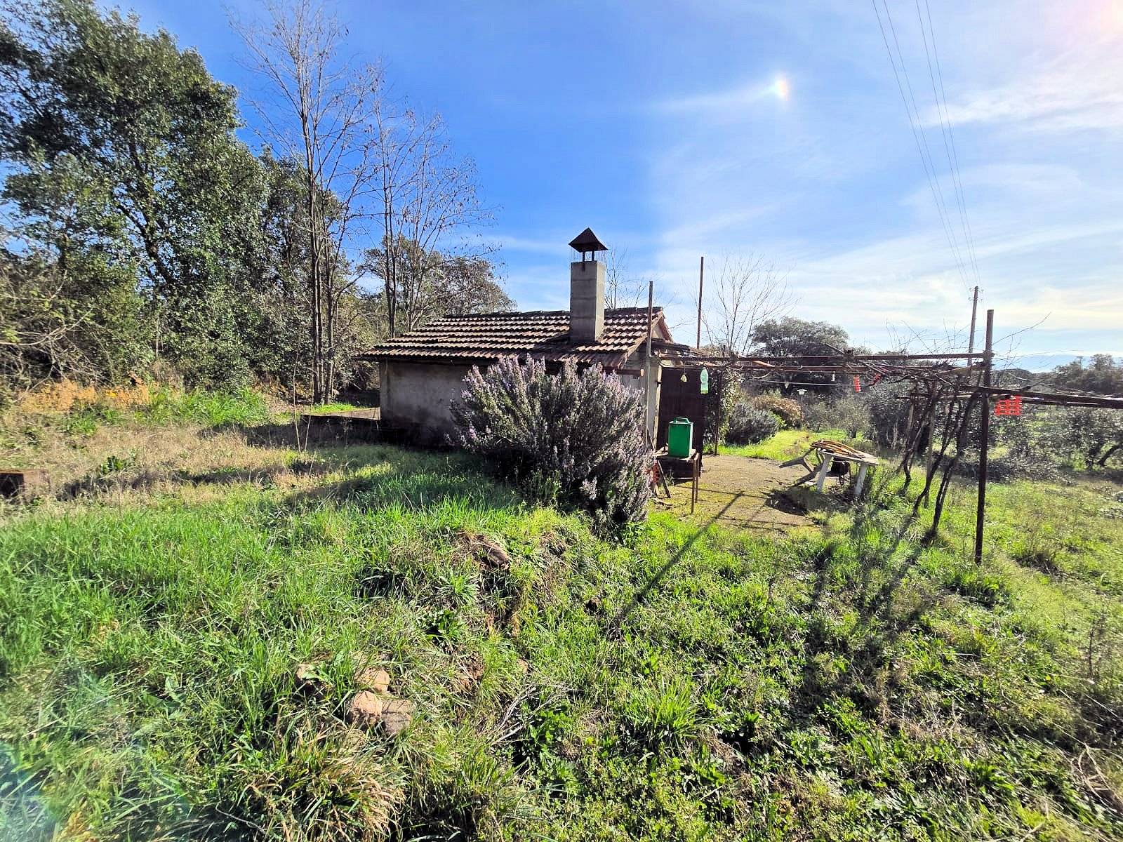 1604-Annesso agricolo in posizione collinare-Roccastrada-1 Agenzia Immobiliare ASIP