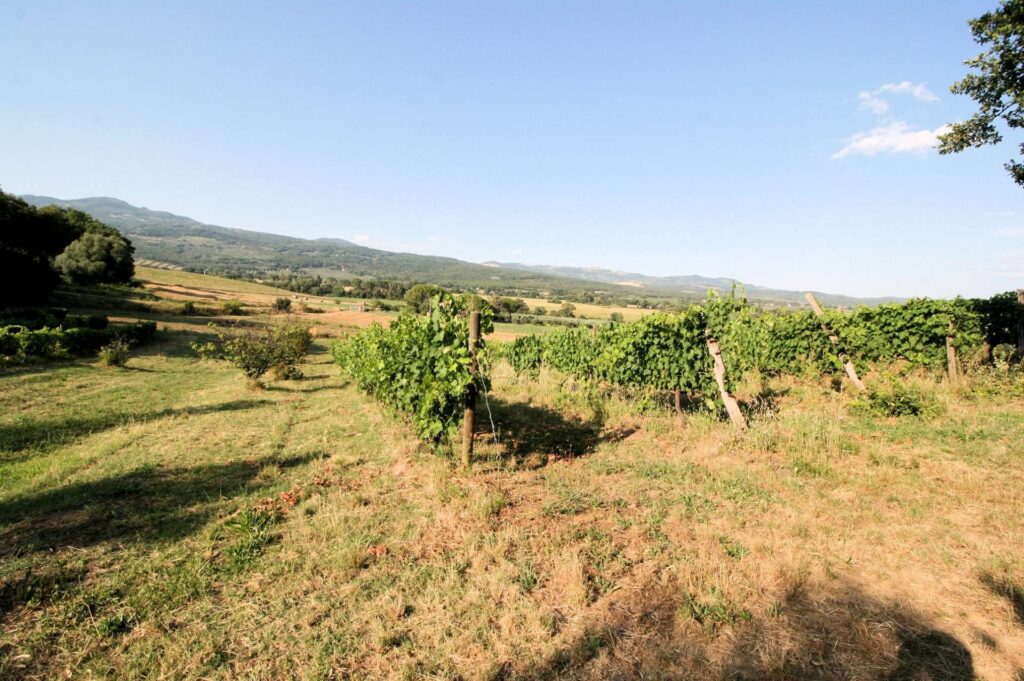 1619-Podere panoramico in Maremma-Roccastrada-4 Agenzia Immobiliare ASIP