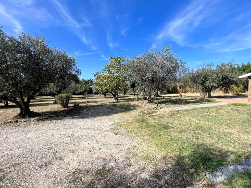 385-Villa ristrutturata con parco-Pitigliano-7 Agenzia Immobiliare ASIP