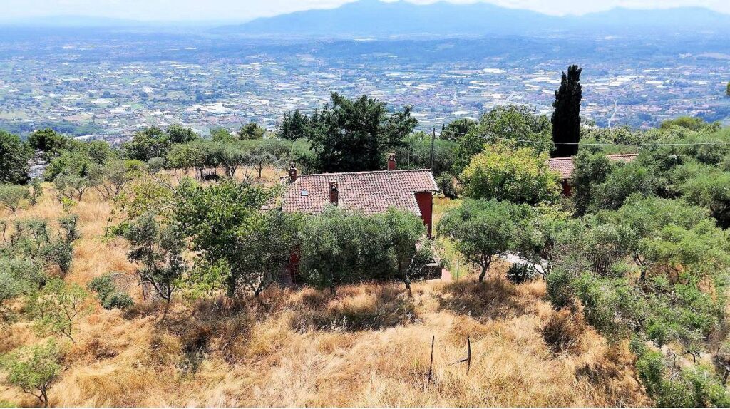 1679-Casa colonica con annessi e terreno in posizione panoramica-Uzzano-1 Agenzia Immobiliare ASIP