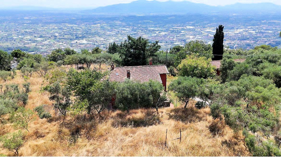 1679-Casa colonica con annessi e terreno in posizione panoramica-Uzzano-1 Agenzia Immobiliare ASIP
