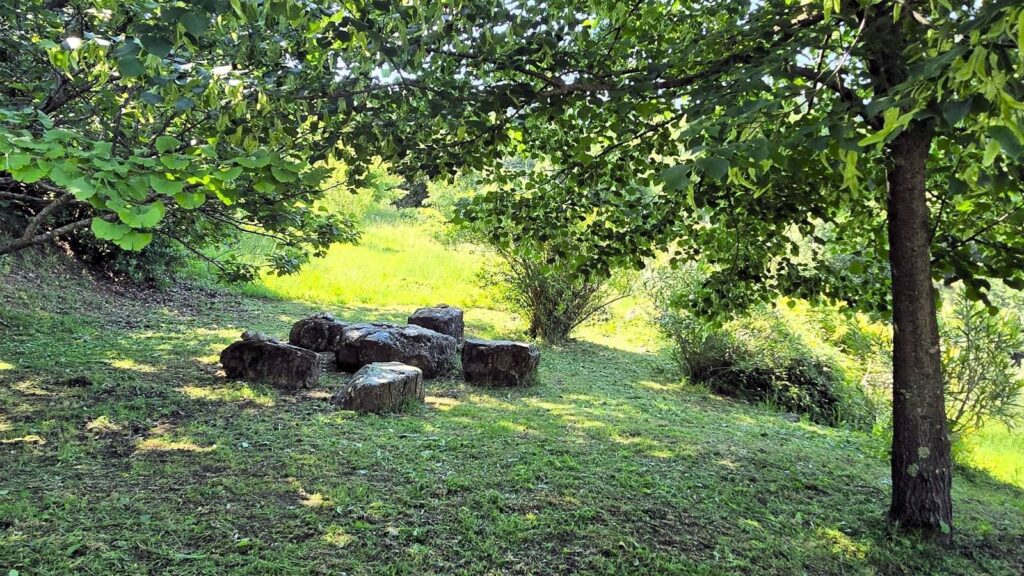 1685-Rustico ristrutturato con ampio terreno e vista panoramica-Roccastrada-8 Agenzia Immobiliare ASIP