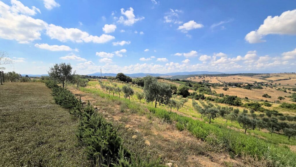 1724-Villa di recente costruzione con ampio terreno e vista panoramica sulla campagna fino al mare-Magliano in Toscana-8 Agenzia Immobiliare ASIP
