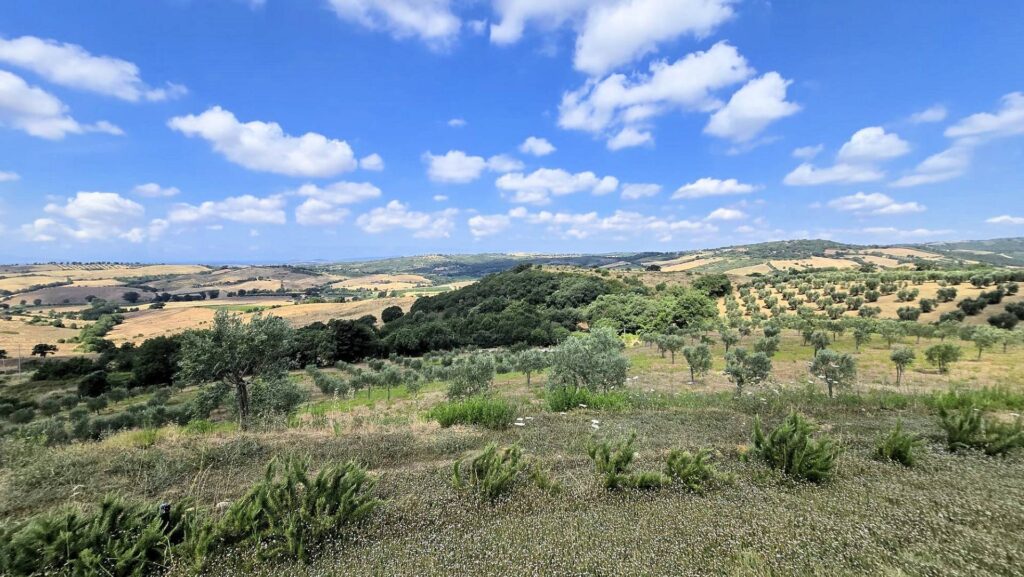 1724-Villa di recente costruzione con ampio terreno e vista panoramica sulla campagna fino al mare-Magliano in Toscana-10 Agenzia Immobiliare ASIP