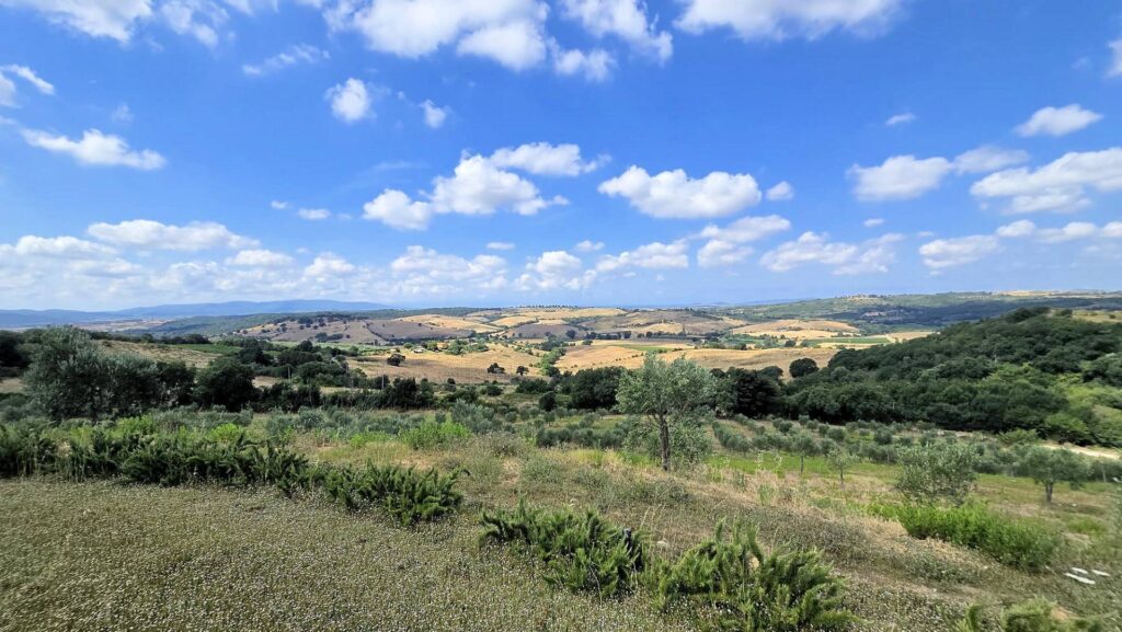 1724-Villa di recente costruzione con ampio terreno e vista panoramica sulla campagna fino al mare-Magliano in Toscana-4 Agenzia Immobiliare ASIP